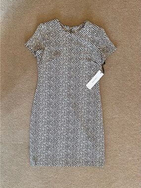 Calvin Klein NWT Black White Striped Sheath Dress Round Neck Short Sleeve Size 2